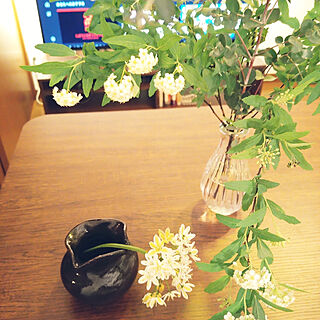 リビング/植物/ダイニング/お花のインテリア実例 - 2021-03-27 09:23:02