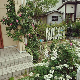 玄関/入り口/DIY/ばらの花のインテリア実例 - 2017-05-17 16:15:14