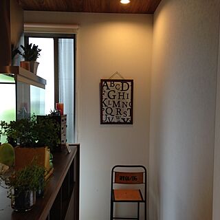 壁/天井/ダイニングの壁/アンティーク椅子/植物/大正時代の薬箱のインテリア実例 - 2014-07-07 14:59:30