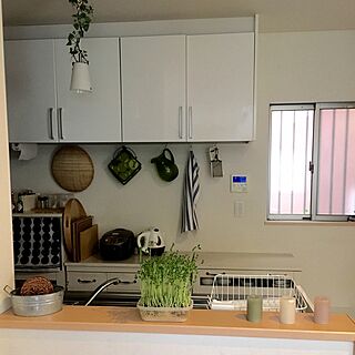 キッチン/いつもいる場所/IKEA/シンプルが好き/フェイクグリーン...などのインテリア実例 - 2016-04-08 15:20:17