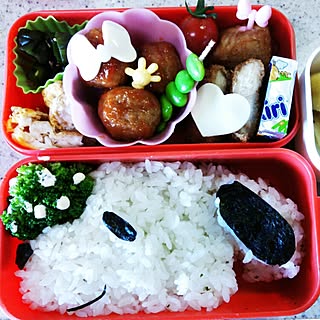 キッチン/キャラ弁/遠足のお弁当/おんなのこのインテリア実例 - 2015-06-11 21:18:05