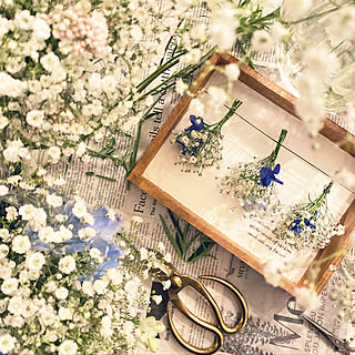 趣味 かすみ草のおしゃれなインテリア 部屋 家具の実例 Roomclip ルームクリップ