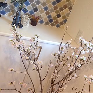 玄関/入り口/桜の枝/お花のある暮らし/似たような写真ですみません/ナチュラル...などのインテリア実例 - 2017-02-14 08:00:01