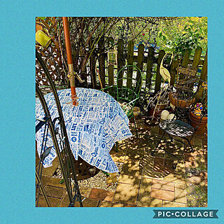 新しいテーブルクロス/小さなマイガーデン/ガーデンパラソル/癒し/おうちカフェ...などのインテリア実例 - 2020-09-08 18:05:41