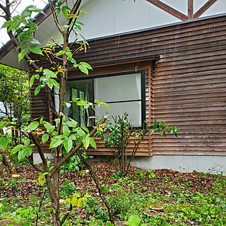 部屋全体/モニター応募投稿/当選するように。/別荘/山小屋風...などのインテリア実例 - 2021-03-07 21:30:11