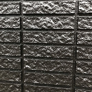 外壁塗装しちゃいました❤︎/外壁は黒/白も黒も好き/壁/天井のインテリア実例 - 2021-05-11 04:18:17