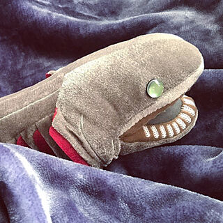 サメぬいぐるみ/サメが好き/カロラータ/ラブカ/ベッド周りのインテリア実例 - 2020-11-05 09:09:18