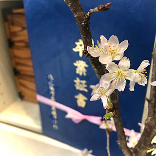 桜/卒業おめでとう/卒業/花のある暮らし/感謝でいっぱい♡...などのインテリア実例 - 2020-03-14 09:00:04