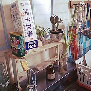 キッチン/植物/キッチン栽培のインテリア実例 - 2014-03-21 10:00:15