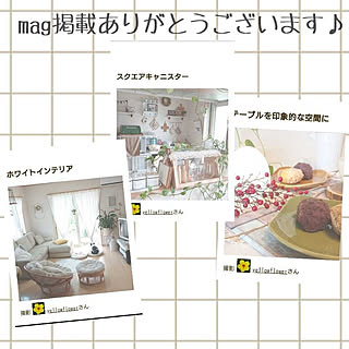 部屋全体/いつもいいねありがとうございます♡/ニトリ/ダイソー/magに掲載していただきました✨...などのインテリア実例 - 2019-08-21 22:57:18