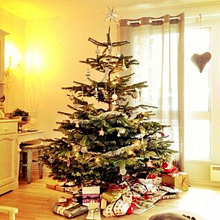 部屋全体/Christmas/christmas tree/living roomのインテリア実例 - 2012-12-24 19:58:38