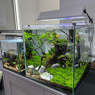 ADAキューブガーデン 30キューブ水槽セット ADA キューブガーデン 30cm