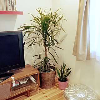 リビング/プフ/観葉植物/IG→ngt_ai/IKEA...などのインテリア実例 - 2015-06-06 18:21:07