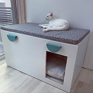 猫トイレカバーDIY/DIY/ねこのいる暮らし/IKEA/犬のいる暮らし...などのインテリア実例 - 2021-08-02 15:59:21