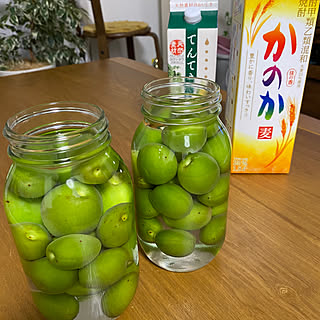 青梅/梅酒作り/青梅の焼酎漬け/いいね！ありがとうございます♪/植物のある暮らし...などのインテリア実例 - 2023-05-21 20:50:19