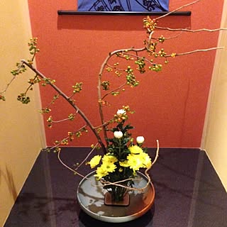 壁/天井/珪藻土/和/季節の飾り/植物...などのインテリア実例 - 2014-10-10 17:46:54