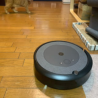 アイロボット/ルンバ/お掃除ロボット/猫と暮らすマンション/家事ラク...などのインテリア実例 - 2021-09-05 14:40:07