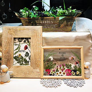 雑草 押し花のおしゃれなアレンジ 飾り方のインテリア実例 Roomclip ルームクリップ