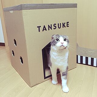 tansukeさんの実例写真