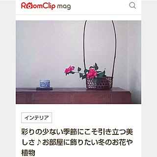 棚/見ていただき有り難うございます/後ほどゆっくり伺います/山茶花/さざんか...などのインテリア実例 - 2020-11-20 17:18:05