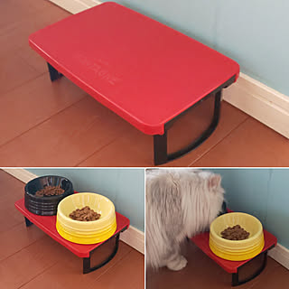 キッチン/新商品/猫のいる暮らし/猫の食事処/猫のご飯台...などのインテリア実例 - 2019-06-22 09:15:15