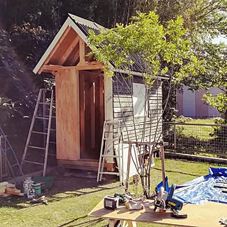 DIY/小屋DIY /小屋DIY途中～/ガーデニング/ガーデン...などのインテリア実例 - 2017-06-04 22:08:53