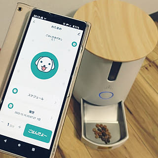 リビング/ナチュラルインテリア/ペットと暮らす/ペットフィーダー/モリーフ...などのインテリア実例 - 2022-12-16 01:11:51