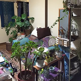 部屋全体/ハンドメイド/DIY/観葉植物/ドライフラワー...などのインテリア実例 - 2016-03-05 22:15:56