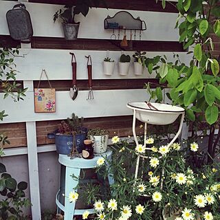 玄関/入り口/植物/雑貨/DIY/お庭☻のインテリア実例 - 2014-05-09 20:05:55