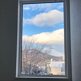 窓からの眺め/FIX窓のインテリア実例 - 2022-12-09 08:14:32