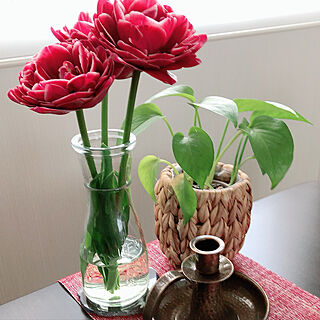 お花/お花に癒されます♡/お花のある暮らし/ダイニングテーブルの上/ダイニングテーブル...などのインテリア実例 - 2020-05-01 15:00:53