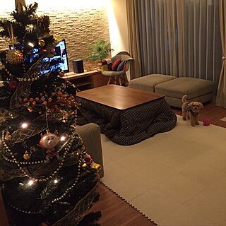 リビング/わんちゃん/クリスマスツリーのインテリア実例 - 2016-11-11 17:01:26