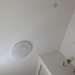 RoomClipアンケート/照明/壁/天井のインテリア実例 - 2020-01-06 11:14:36