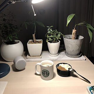机/観葉植物/一人暮らし/IKEA/おやつ...などのインテリア実例 - 2018-05-02 19:55:32
