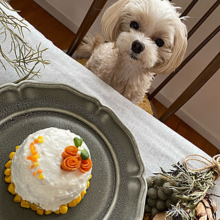 お誕生日/マルプー/mix犬/誕生日ケーキ/犬の誕生日...などのインテリア実例 - 2021-08-22 20:49:16