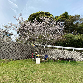 公園/桜のインテリア実例 - 2021-04-03 11:36:34