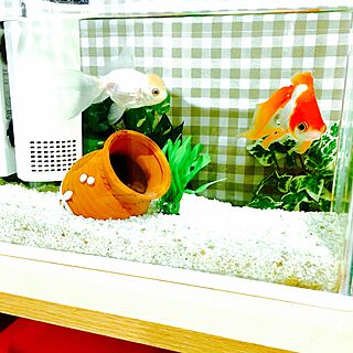 リビング/金魚の水槽/金魚と暮らすのインテリア実例 - 2016-09-19 18:51:54