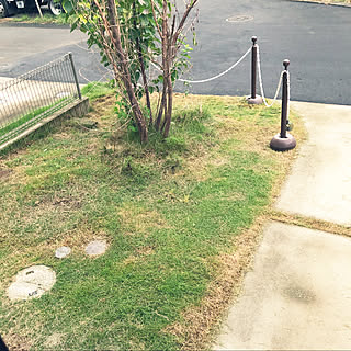 芝生のお庭/グリーンのある暮らし/ナチュラル/玄関/入り口のインテリア実例 - 2021-08-18 09:09:02