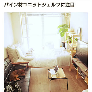 部屋全体/無印良品/ひとり暮らし/ねこと暮らす。/るーむくりっぷまぐ...などのインテリア実例 - 2018-07-01 22:35:17