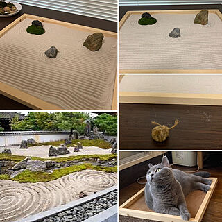 猫のトイレではない/水を表現/日本庭園/関守石/枯山水...などのインテリア実例 - 2022-07-05 07:30:24