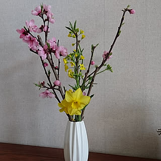 部屋全体/桃の花/2019.4.2/花のある暮らしのインテリア実例 - 2019-04-02 10:34:35