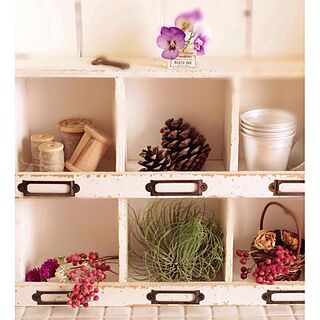 棚/DIY/DIY板壁/植物/庭のお花...などのインテリア実例 - 2013-11-19 08:09:24