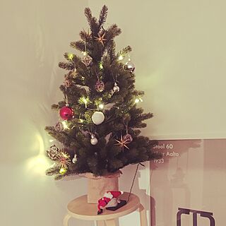 リビング/アルテック/クリスマスツリー/ノルディカニッセ/IKEAのインテリア実例 - 2016-11-11 22:55:10