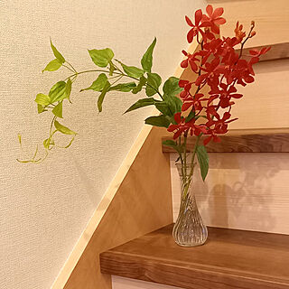 バス/トイレ/植物のある暮らし/花を飾る暮らし/バストイレではありません/階段のインテリア実例 - 2021-07-09 20:44:28