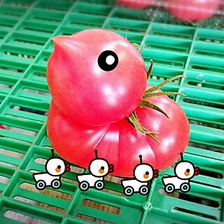 机/トマト好きのインテリア実例 - 2016-09-09 21:08:32