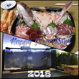 Happy New Year♪2018/メダカ/アクアリウム/コリドラス/クーリーローチ...などのインテリア実例 - 2018-01-01 11:19:07