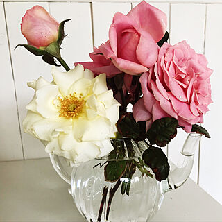 白いバラ10年でピンクに咲いてる/バラ大好き♡/白が好き/white interior/hygge...などのインテリア実例 - 2018-05-08 21:26:49