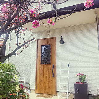 桜咲き始めました♪/植物のある暮らし/グリーンのある暮らし/すっきり暮らしたい/ナチュラルが好き...などのインテリア実例 - 2021-04-03 10:00:24