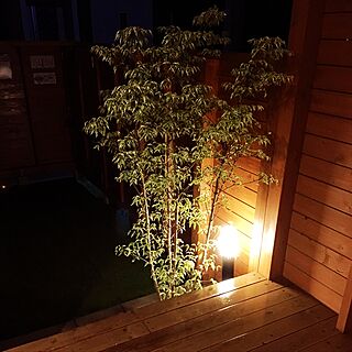 植栽ライトアップ/植栽完了/植栽をライトアップしています/ヤマボウシ/シンボルツリーは『やまぼうし』...などのインテリア実例 - 2017-06-05 09:47:27