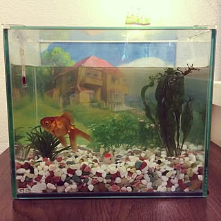 大人気商品 手作り1点物 アクアリウム シェルター ジブリ ポニョ